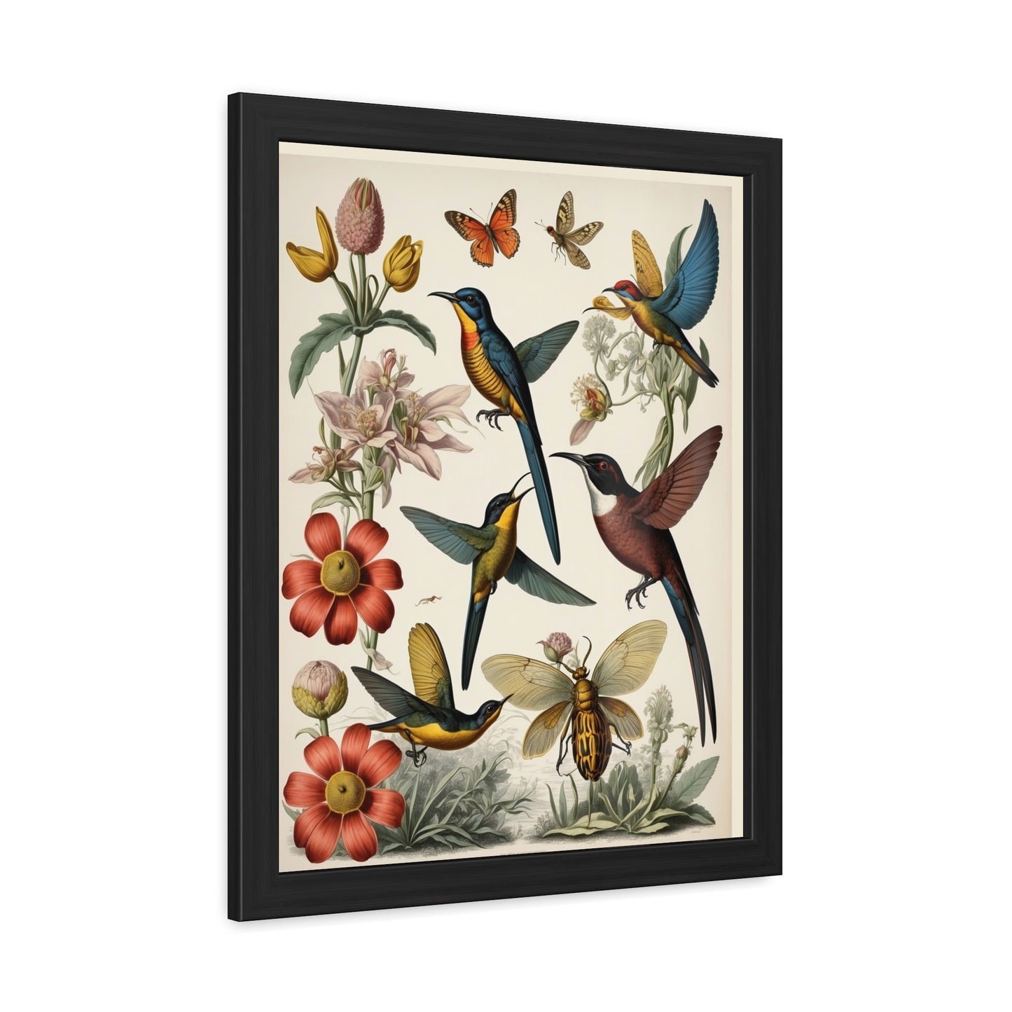 Botanical Bird Framed Posters | 002 | Modern Wall Art for Home or Office Decor