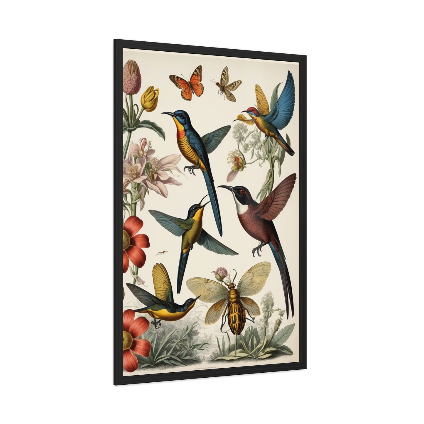 Botanical Bird Framed Posters | 002 | Modern Wall Art for Home or Office Decor