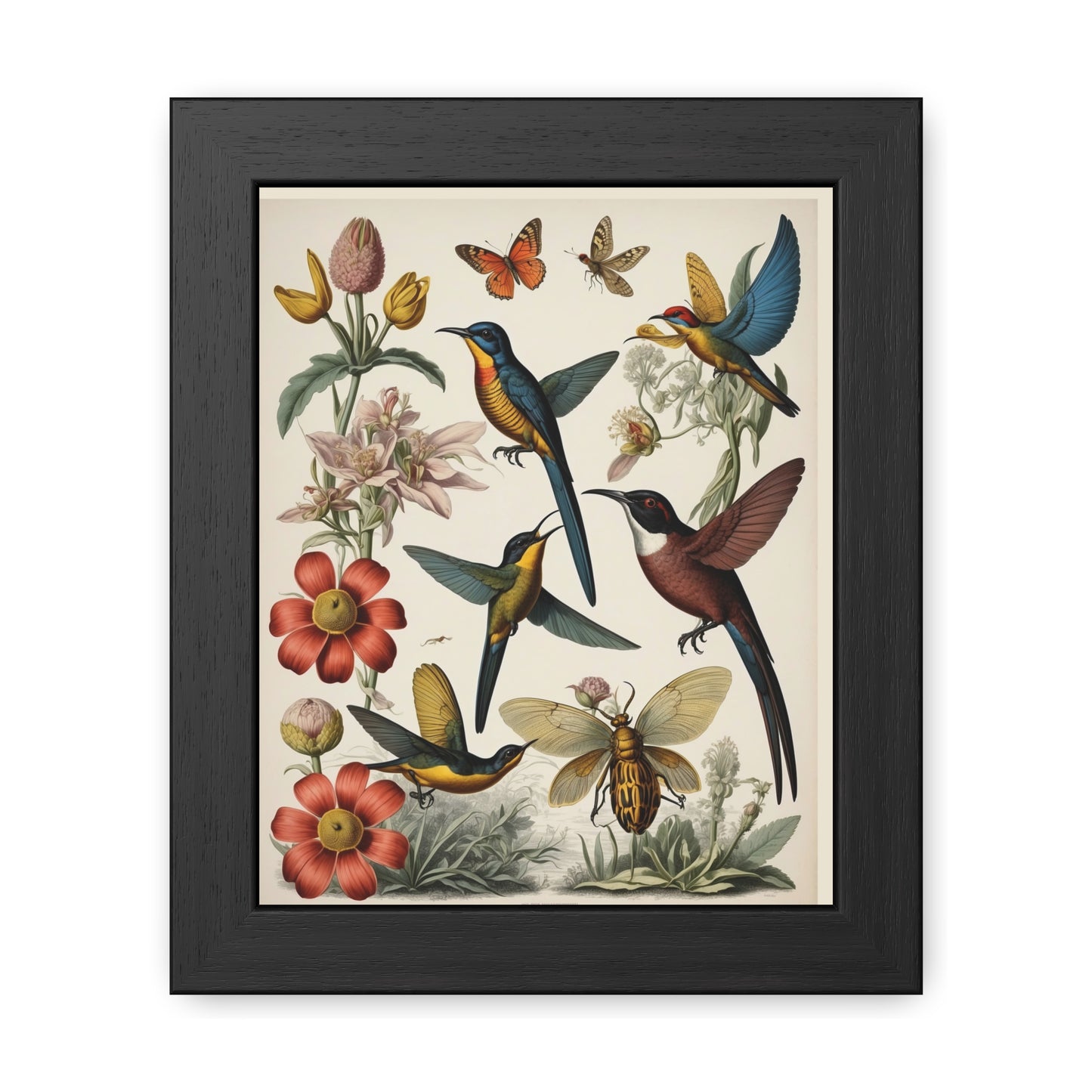 Botanical Bird Framed Posters | 002 | Modern Wall Art for Home or Office Decor