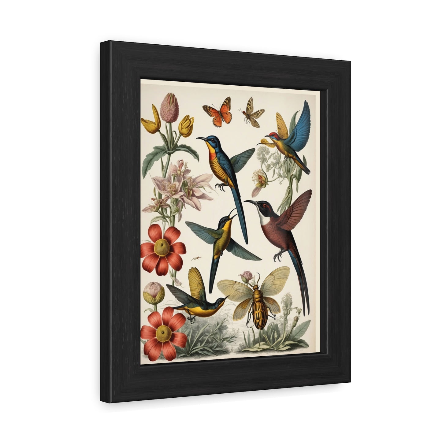 Botanical Bird Framed Posters | 002 | Modern Wall Art for Home or Office Decor